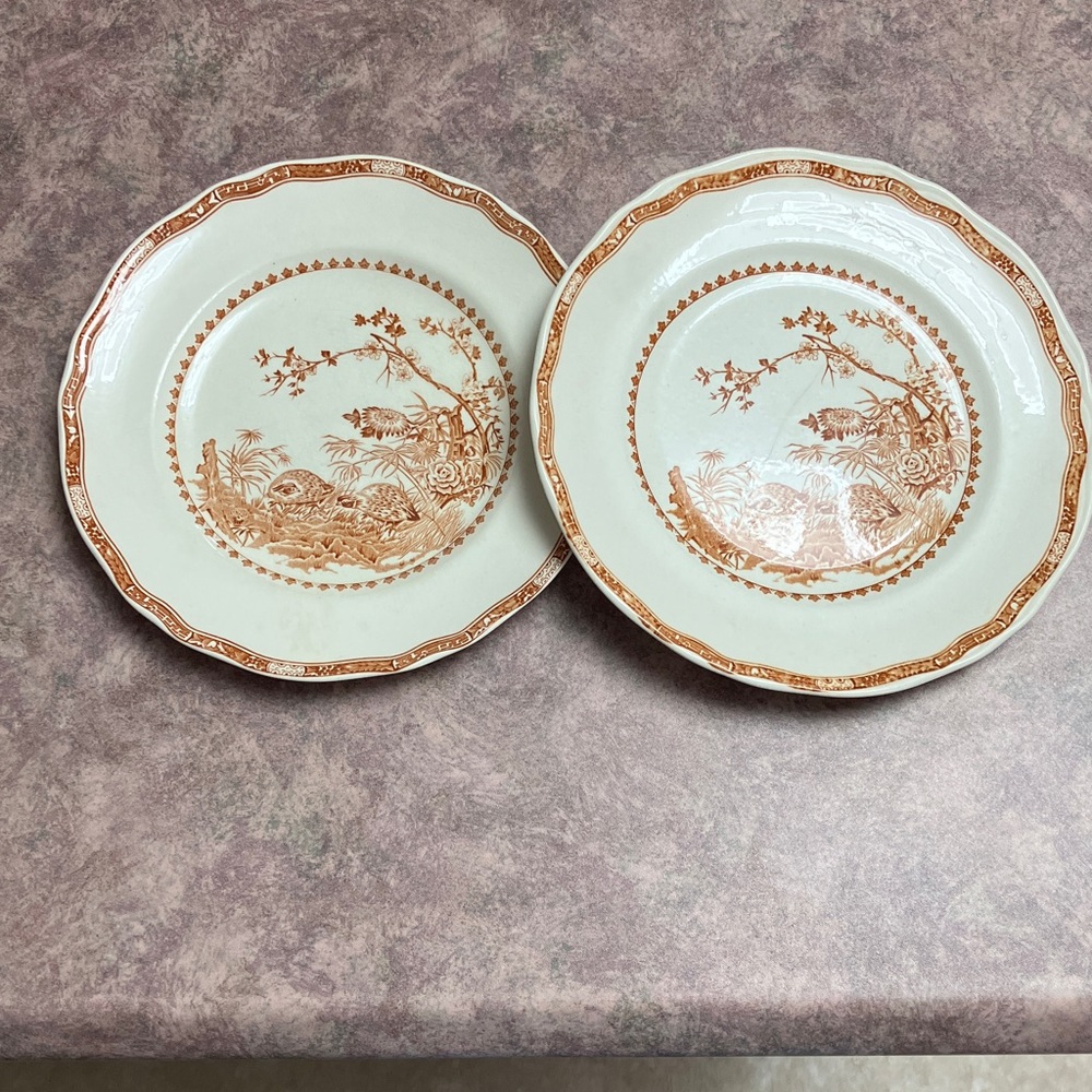 Antique Furnivals Quail Brown Dinner Plates (2)